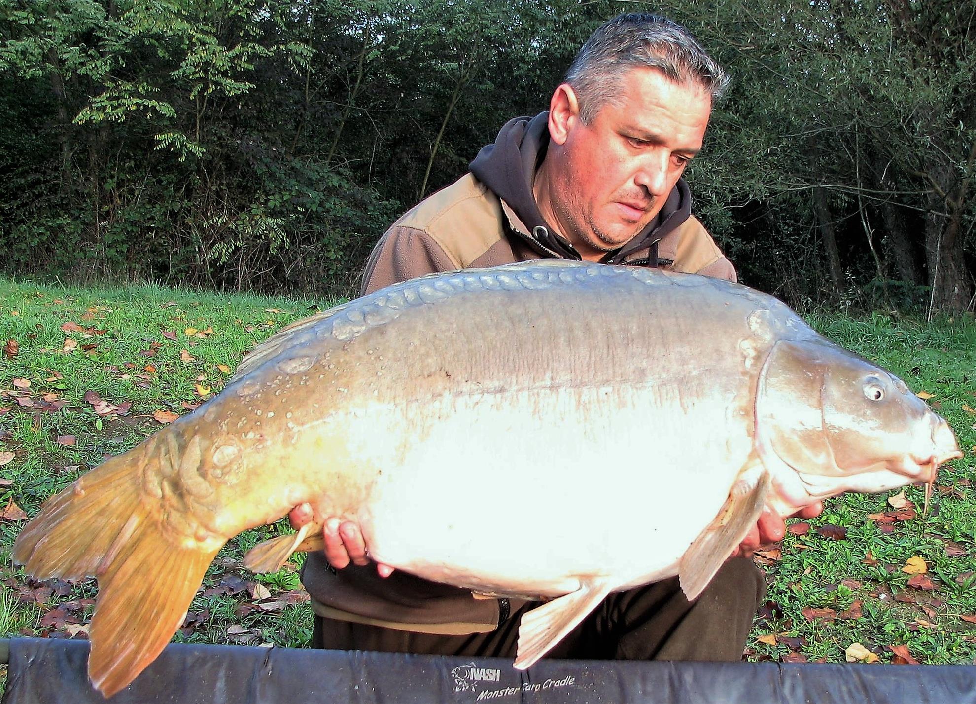 Pelagicevo 8 - 15 octombrie 2017 - img12.jpg